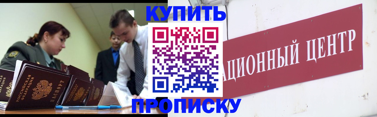 прописка поиск в Шадринске